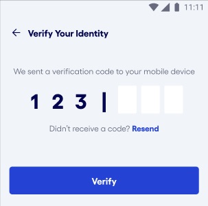 Bluevine mobile app Android OS MFA