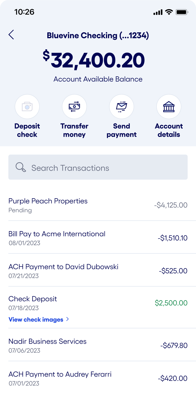Bluevine mobile app iOS checking screen